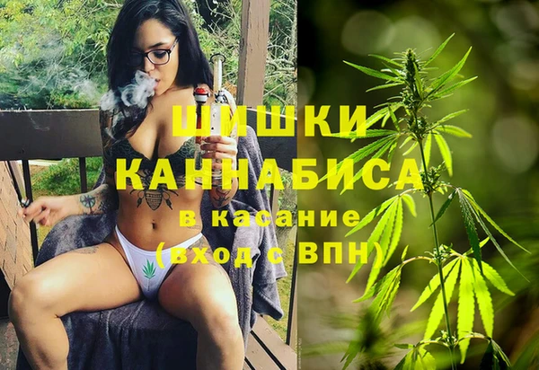 мяу мяу мука Алзамай