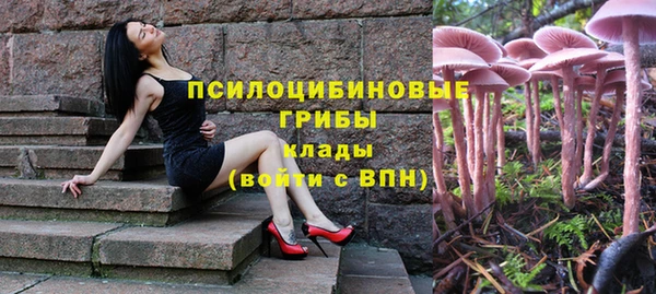 мяу мяу мука Алзамай